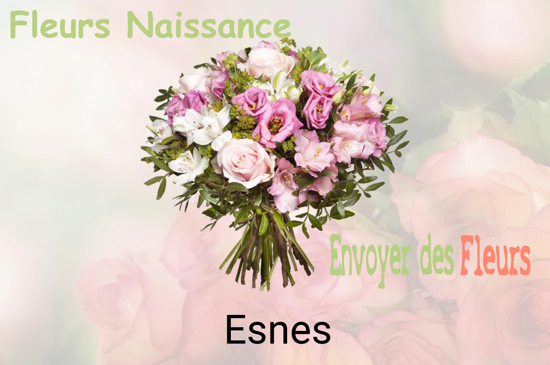 Bouquet de fleurs de naissance livré à Esnes