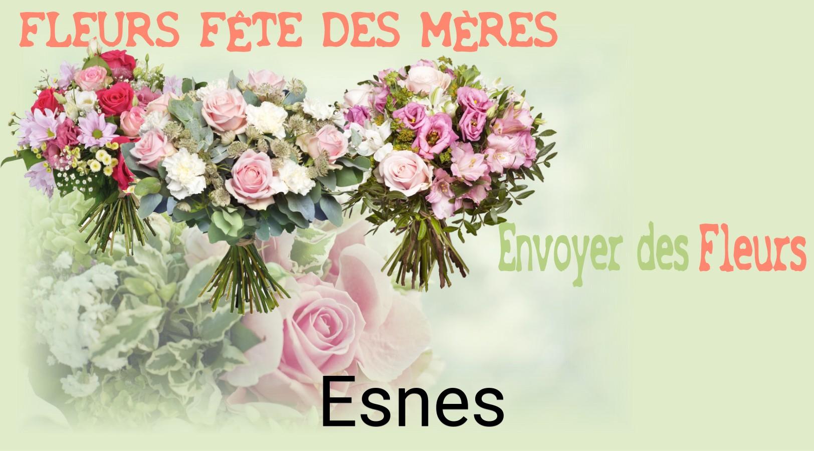 Bouquet de Fête des Mères livré à Esnes